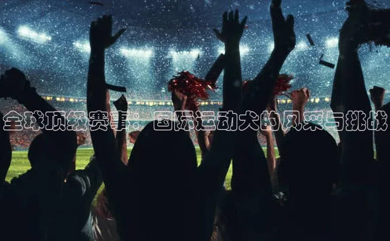 意昂平台官网